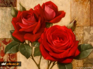 آغاز سال تحصیلی جدید