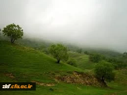 برگزاری اردو به مناسبت هفته امور تربیتی در  امام زاده بی بی شیرین  واقع درروستای  اطراف شهرستان کازرون پنجشنبه 7 اسفند ماه