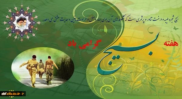 هفته بسیج گرامی باد