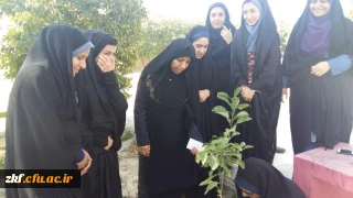 کاشتن  نهال در مرکز به مناسبت روز درخت کاری