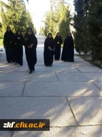 پیاده روی همکاران