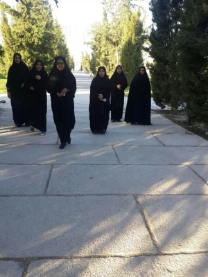 پیاده روی همکاران