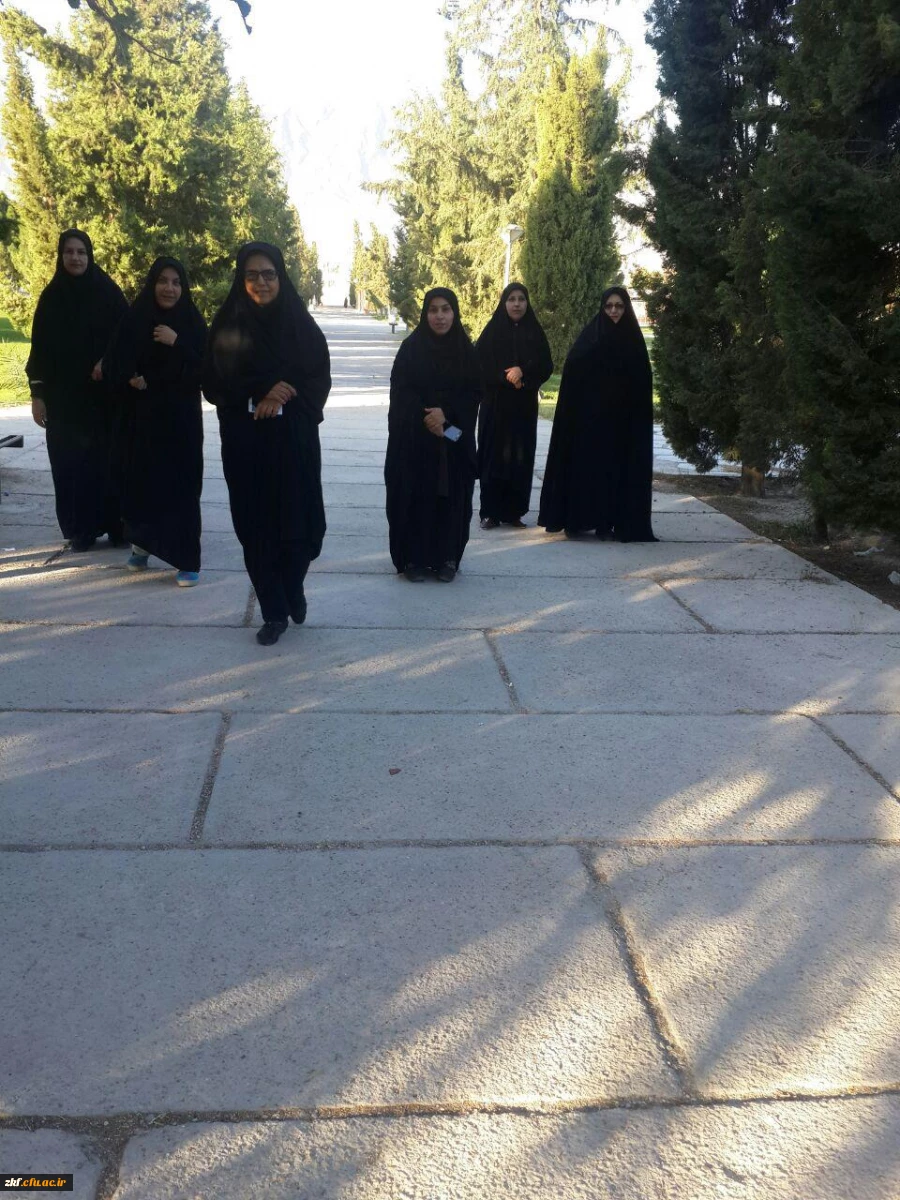 پیاده روی همکاران