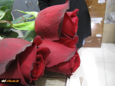 اهدا شاخه گل به استادان توسط سرپرست واحد آموزشی زینب کبری (س) به مناسبت گرامیداشت مقام معلم