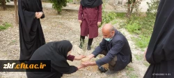 کاشت نهال به مناسبت روز درختکاری  2