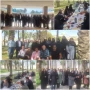 برگزاری همایش پیاده روی «سلامت و قدردانی» درکازرون 